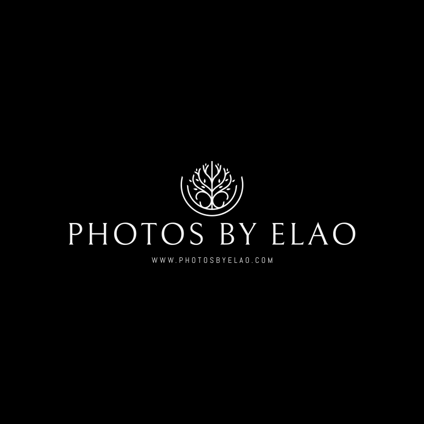 Photos by Elao